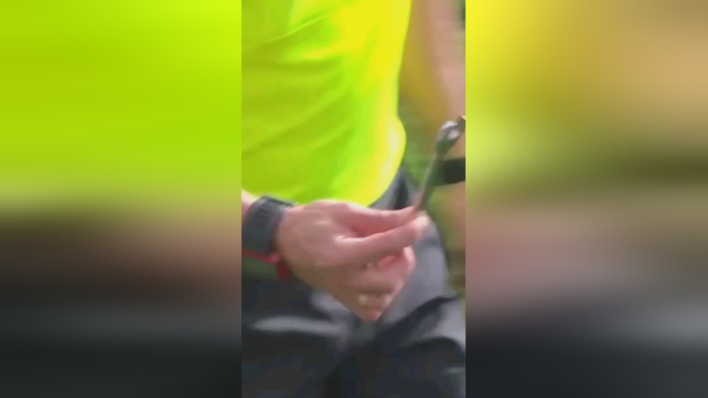 篇报
