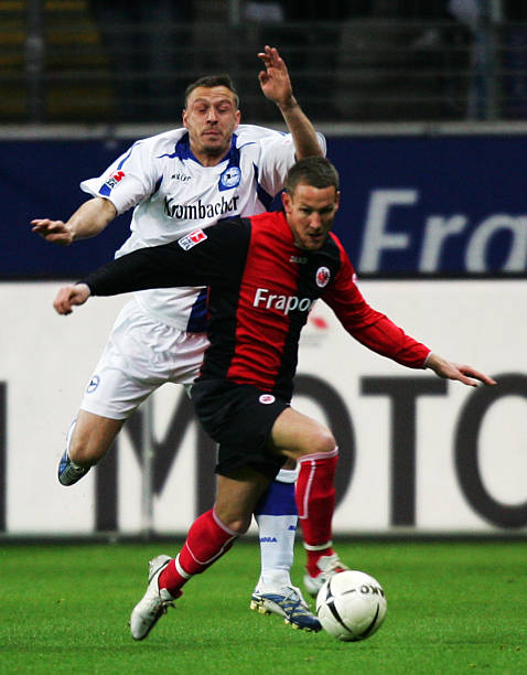 入了新的活 入了新的活